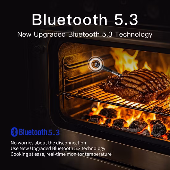 Лучшая цена водонепроницаемый двойной термометр для мяса цифровой термометр для приготовления пищи